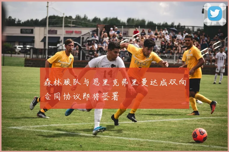 森林狼队与恩里克弗里曼达成双向合同协议即将签署