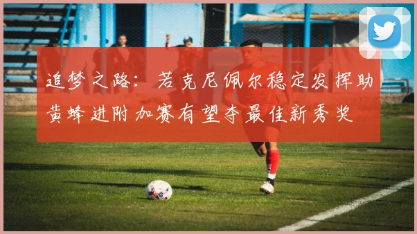 追梦之路：若克尼佩尔稳定发挥助黄蜂进附加赛有望夺最佳新秀奖
