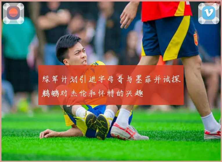 绿军计划引进字母哥与墨菲并试探鹈鹕对杰伦和怀特的兴趣
